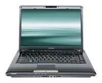 Toshiba SATELLITE A305-S6916