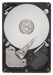 Seagate ST31000528AS