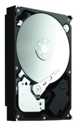 Seagate ST31500541AS