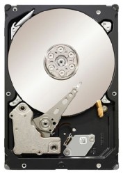 Seagate ST32000644NS