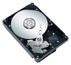 Seagate ST3160813AS