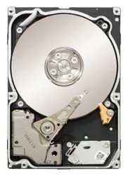 Seagate ST9500530NS