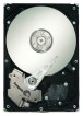 Seagate ST31000640SS