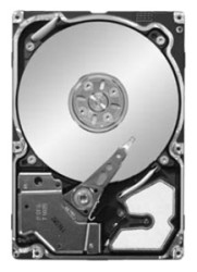 Seagate ST9300603SS