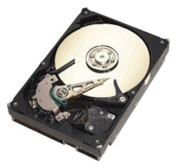 Seagate ST3160215A