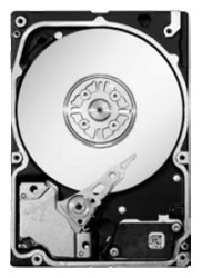 Seagate ST9146852SS