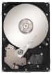 Seagate ST310005N1D1AS-RK