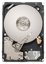 Seagate ST9600204SS