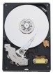 Western Digital WD800JB