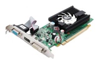 InnoVISION GeForce 210 589 Mhz PCI-E 2.0 512 Mb