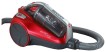 Hoover TCR 4206 011