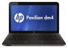 HP PAVILION dm4-2001er