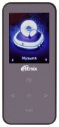 Ritmix RF-4310