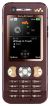 Sony Ericsson W890i