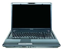 Toshiba SATELLITE P305D-S8900