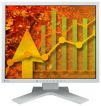 Eizo FlexScan S1921-X