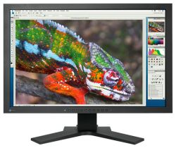 Eizo ColorEdge CG243W